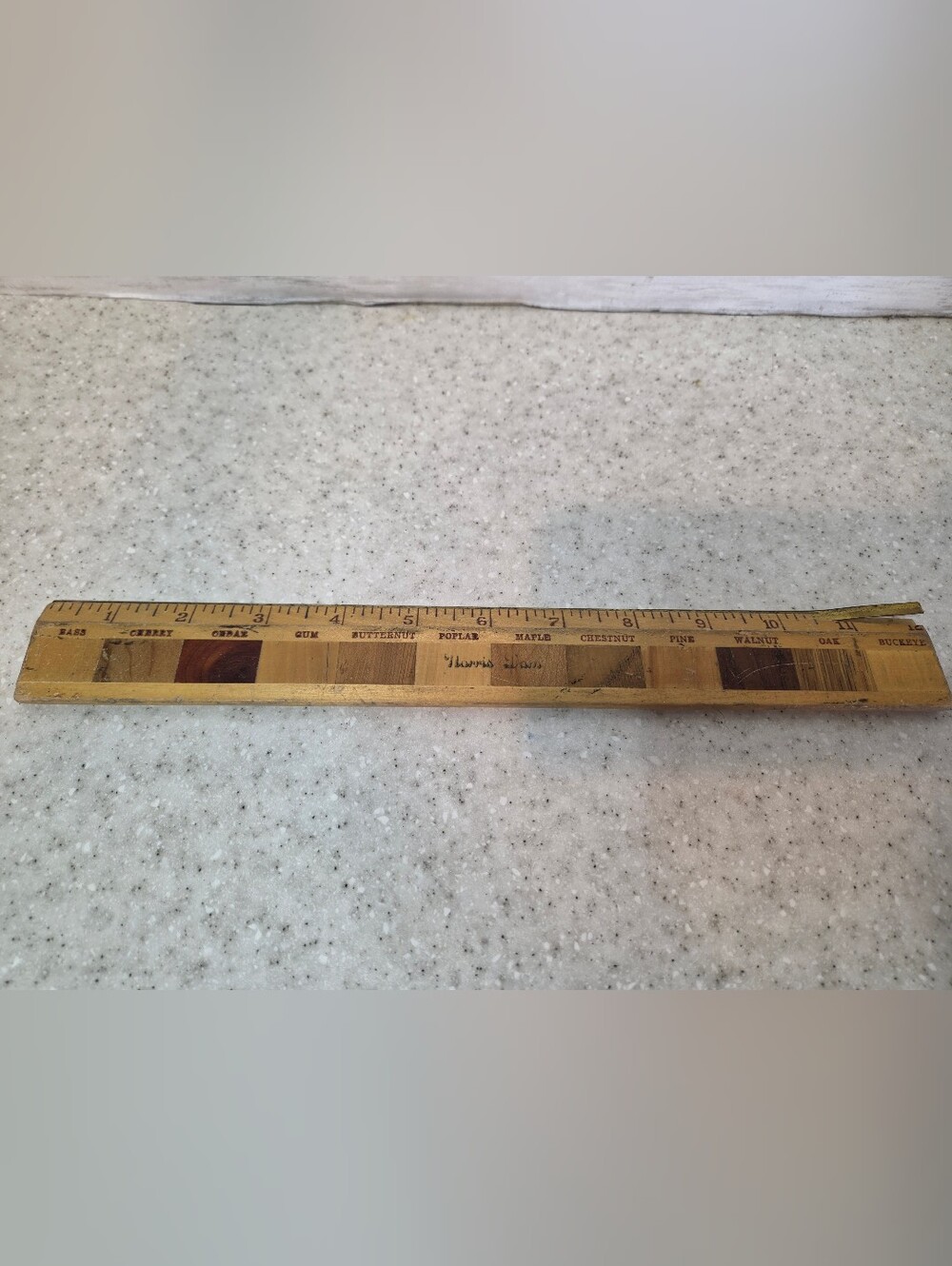 Vintage Wood Species Sample Ruler 12" MCM Inlaid Wood Bass Cherry Cedar Walnut O